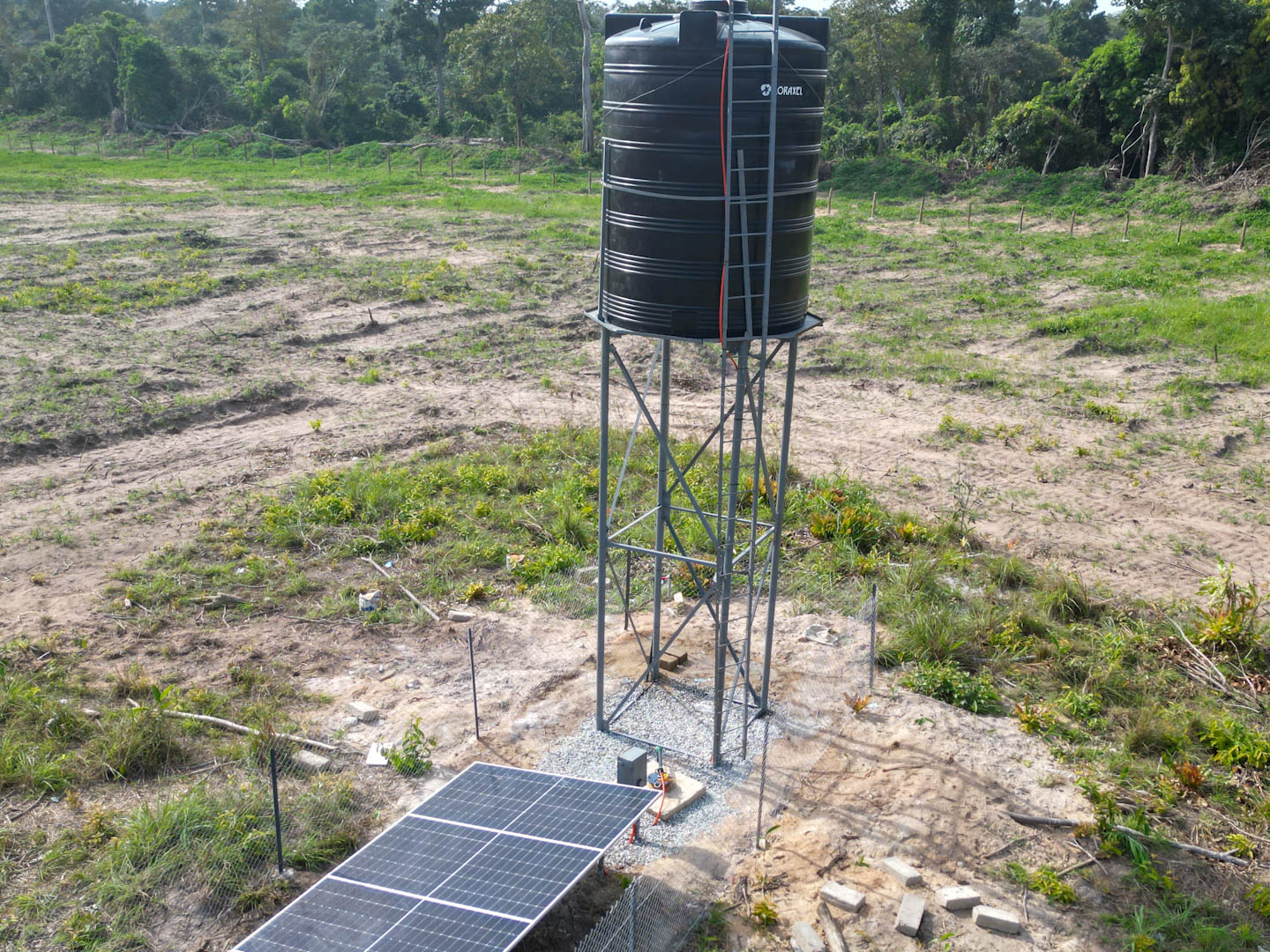 Forage Solaire pour Bétail